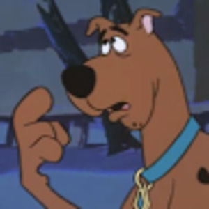 Meet your Posher, Ava